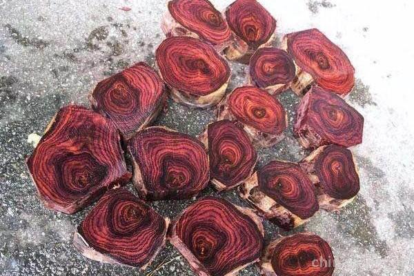 黄花梨切面纹理 黄花梨切面纹理