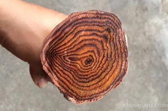黄花梨图片 黄花梨图片