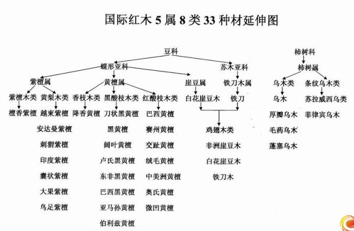 国际红木标准图 国际红木标准图