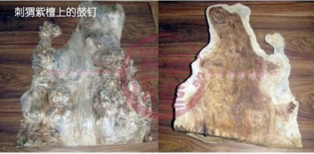 刺猬紫檀和非洲花梨木对比 刺猬紫檀和非洲花梨木对比